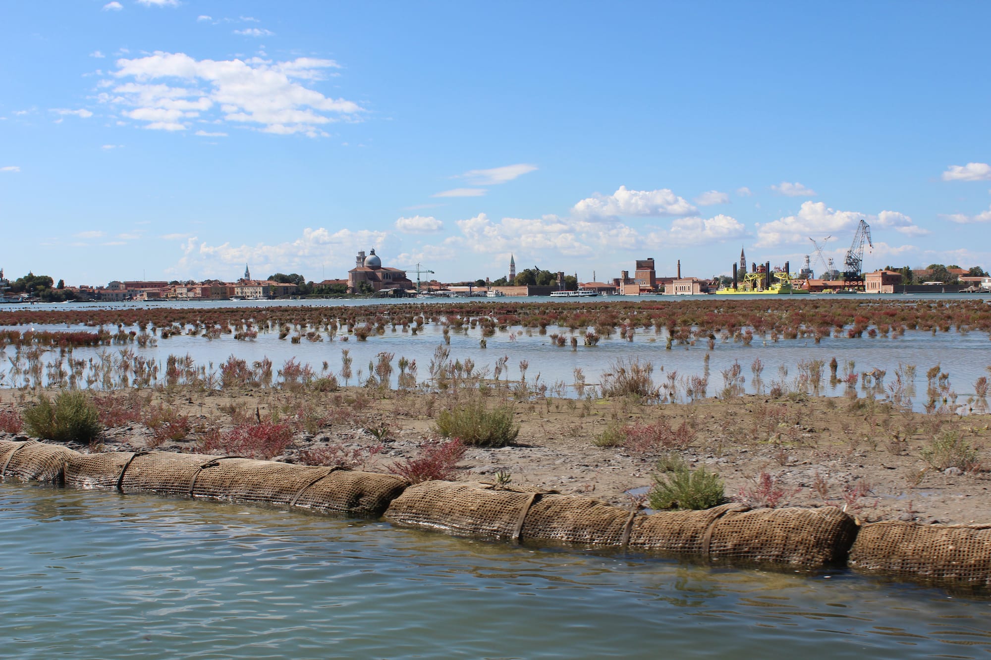 Erosion control and salt marsh restoration project in the Venetian Lagoon. © Andrea Barbanti